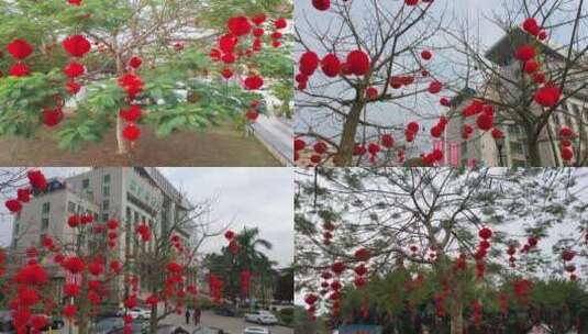 街上树上挂满大红灯笼高清在线视频素材下载