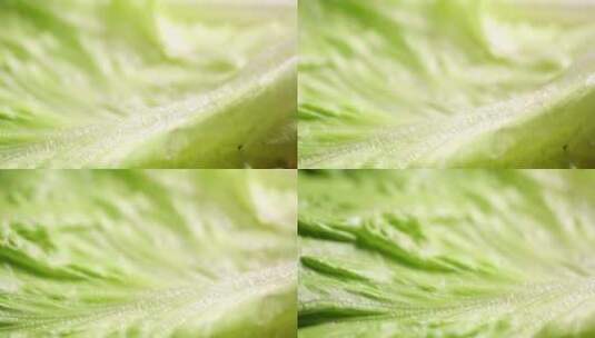 【镜头合集】绿色菜叶蔬菜叶子高清在线视频素材下载