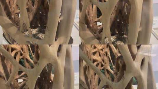 各种木头木质纹理竖纹年轮高清在线视频素材下载