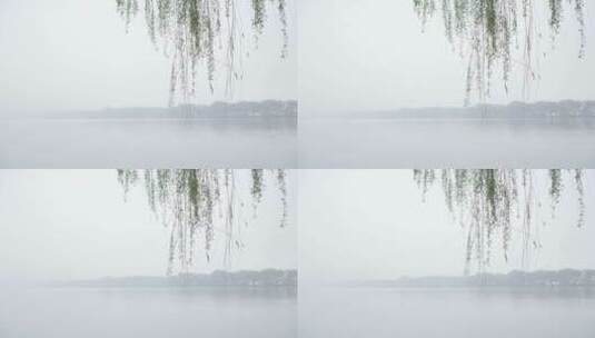 杭州西湖景区花港观鱼雾景高清在线视频素材下载