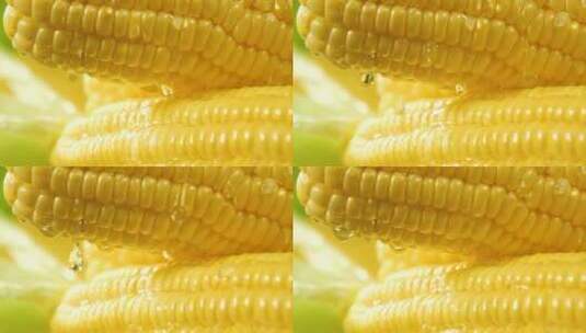 唯美玉米高清在线视频素材下载