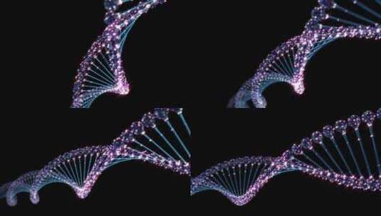 全息DNA合成素材高清在线视频素材下载