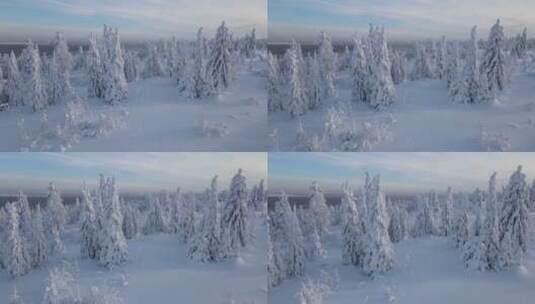 大自然冬天下雪 冰雪覆盖的森林雪景特写高清在线视频素材下载