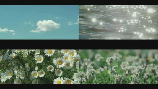 日系风格蓝天白云下的水和开满鲜花的草地高清在线视频素材下载