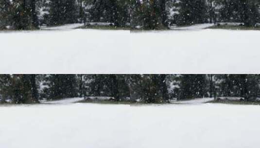 落雪，篱笆，树高清在线视频素材下载