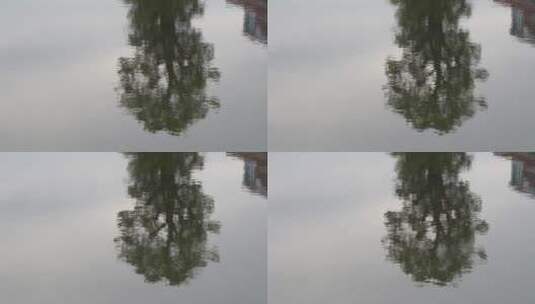 树木水面倒影湖面倒影高清在线视频素材下载