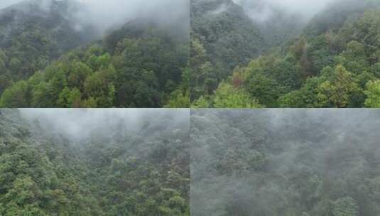 烟雨云雾缥缈的大山高清在线视频素材下载