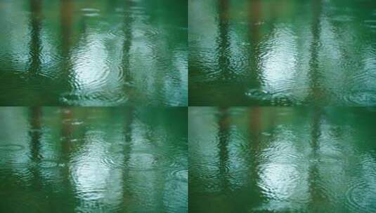 初春的小雨-雨滴涟漪特写高清在线视频素材下载