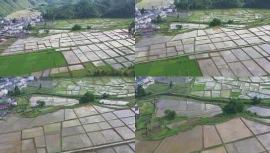 江南水乡农田高清在线视频素材下载