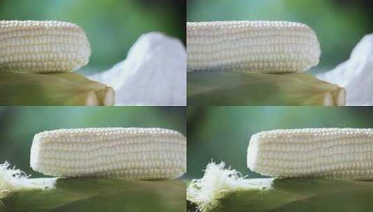 新鲜玉米棚拍高清在线视频素材下载