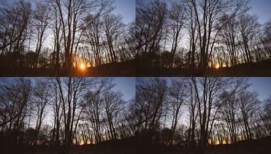 冬天森林里的日落，时光流逝高清在线视频素材下载