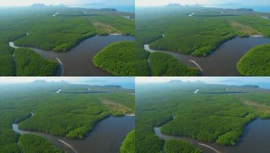航拍热带雨林高清在线视频素材下载