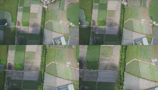 4K农村农业农田田野三农种植业航拍视频高清在线视频素材下载