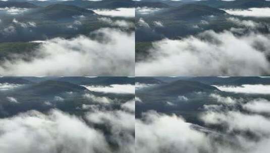 森林云海晨雾自然风光高清在线视频素材下载