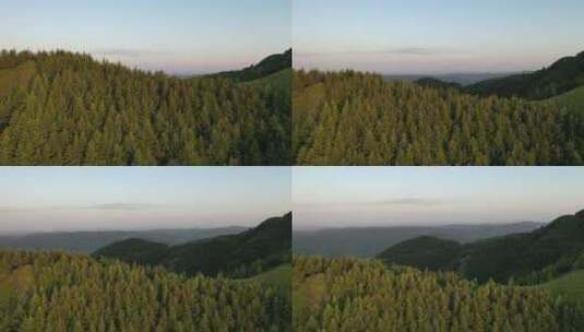 航拍森林层峦叠嶂高清在线视频素材下载
