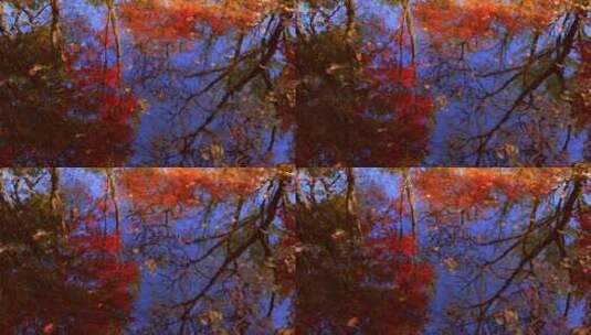 倒映在水里唯美秋天高清在线视频素材下载