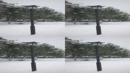 下雪时候雪花飘落在路灯上高清在线视频素材下载