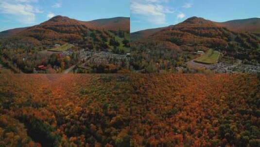 秋天秋叶秋景山林山枫叶唯美红叶航拍高清在线视频素材下载