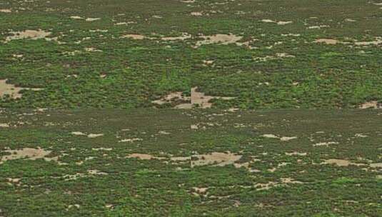 新疆吐鲁番盆地湿地航拍高清在线视频素材下载