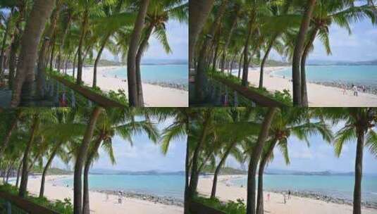 中国三亚大东海海滩蓝天下椰树椰林风光高清在线视频素材下载
