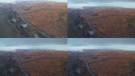 呼伦贝尔森林秋天林场白桦林公路航拍高清在线视频素材下载