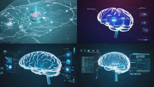 大脑内部构造的3D科技展示高清在线视频素材下载