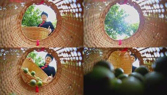 澳洲坚果 夏威夷果高清在线视频素材下载