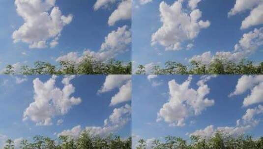 4K 蓝天 白云 延时摄影 云朵延时高清在线视频素材下载