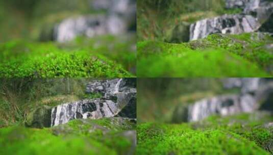大自然  春天 瀑布 山泉 苔藓 高清在线视频素材下载