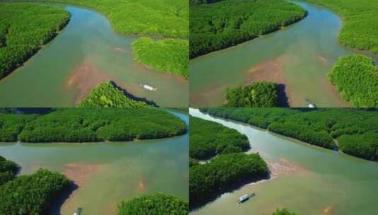 在美丽的大型红树林中俯瞰河流和溪流高清在线视频素材下载