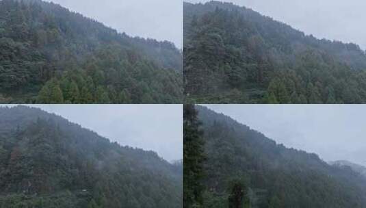 高清实拍眉山洪雅瓦屋山森林高清在线视频素材下载