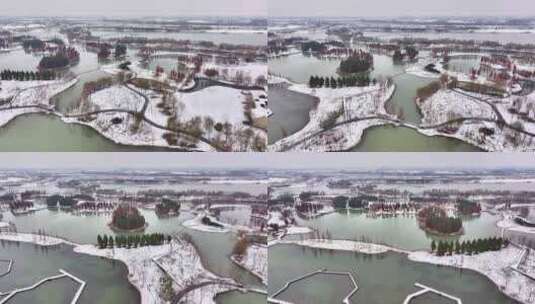 航拍湿地公园雪景树林湖岛木屋杉树木高清在线视频素材下载