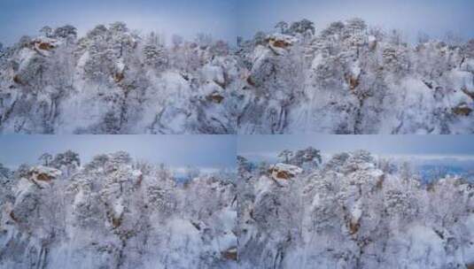 【高清6K】自然风光雪山雾凇高清在线视频素材下载
