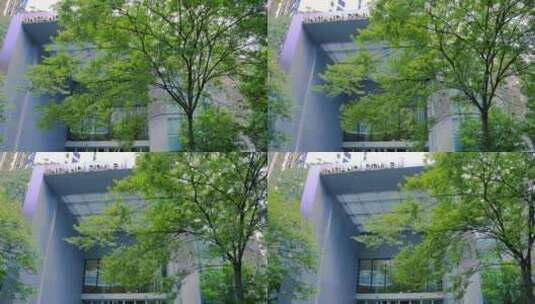 4k城市上海商场入口树木100P高清在线视频素材下载