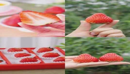 丹东草莓高清在线视频素材下载