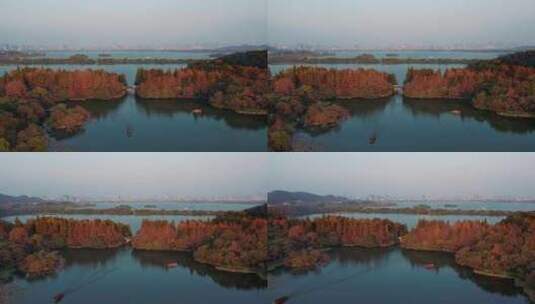 杭州西湖 杨公堤高清在线视频素材下载