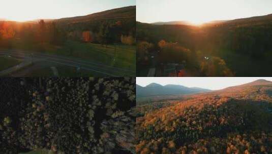 秋天唯美意境空镜头枫叶红叶秋景阳光高清在线视频素材下载