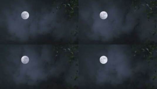 原创实拍黑夜月亮02高清在线视频素材下载