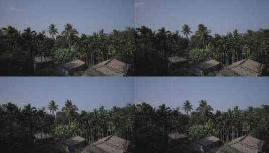 热带村落延时南方村庄民居椰树蓝天02高清在线视频素材下载