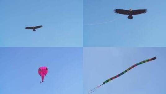 风筝飞行高清在线视频素材下载
