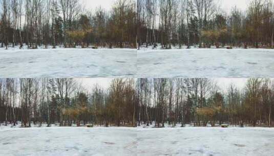 公园里的霜冻景观高清在线视频素材下载