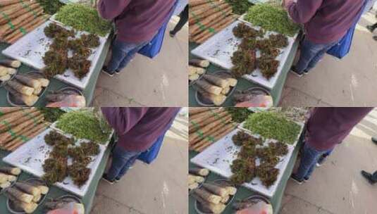 香椿春季野菜菜市场卖菜高清在线视频素材下载