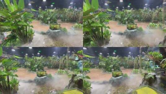 济南科技馆热带雨林动物、植物展览高清在线视频素材下载