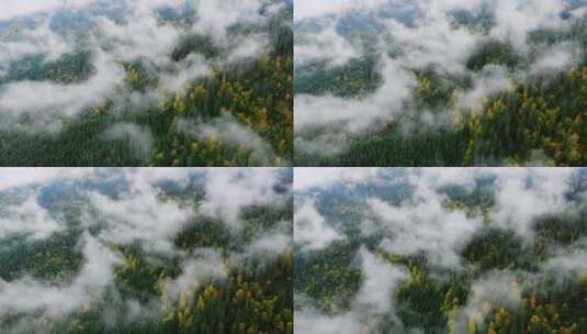 山区雨天后的空中拍摄高清在线视频素材下载