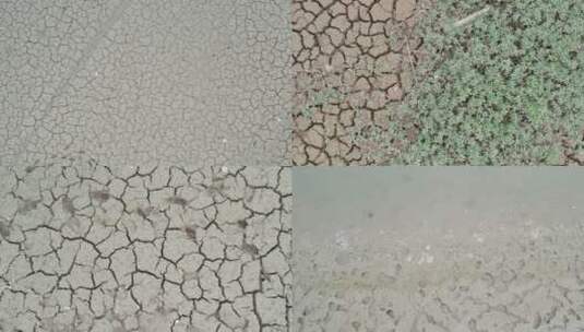 干枯的河床开裂的土地炎热夏季淤泥干涸高清在线视频素材下载