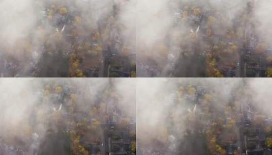 俯瞰云雾中的银杏村高清在线视频素材下载