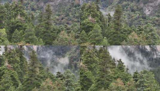 雨崩高山航拍高清在线视频素材下载