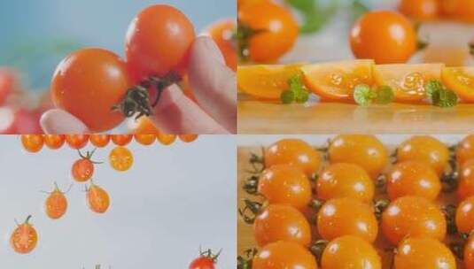 混色小番茄高清在线视频素材下载
