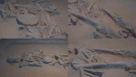 人形骸骨化石高清在线视频素材下载