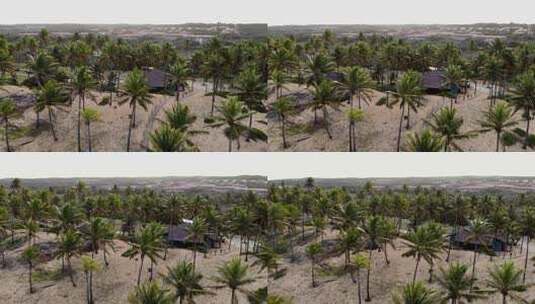 航拍下的椰子树和村庄高清在线视频素材下载